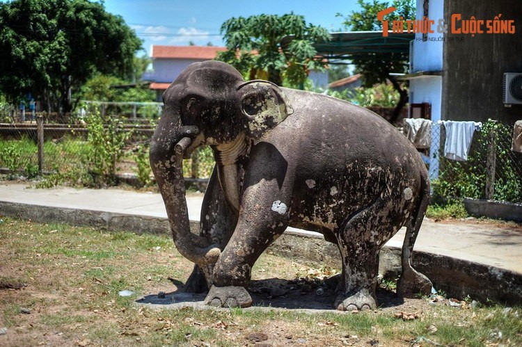 Nhung co vat vo gia mang hinh anh voi dac sac cua Viet Nam-Hinh-9