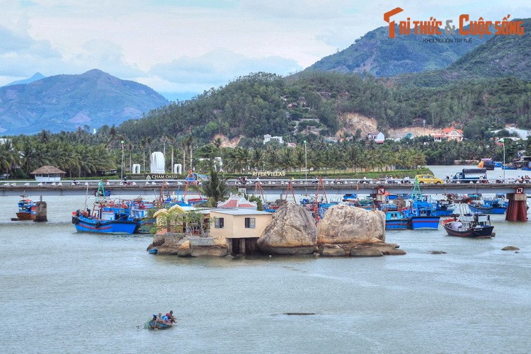 Dieu dac biet o dong song bieu tuong cua thanh pho Nha Trang-Hinh-5