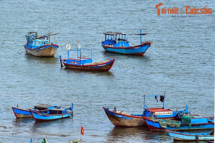 Dieu dac biet o dong song bieu tuong cua thanh pho Nha Trang-Hinh-6