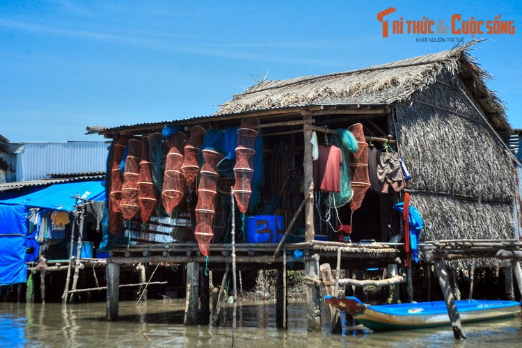 Cuoc song tren song nuoc tuyet voi cua Ca Mau-Hinh-4