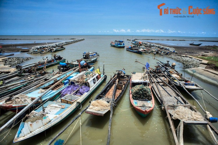 Cuoc song tren song nuoc tuyet voi cua Ca Mau-Hinh-5