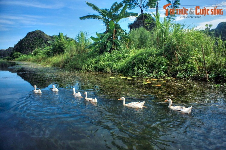 Kham pha ve dep so khai cua Thung Nang Ninh Binh Dam-Hinh-14