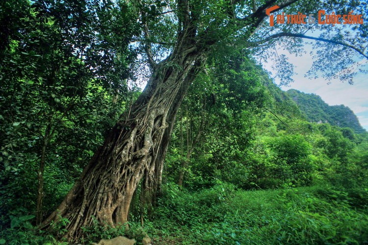 Kham pha ve dep so khai cua Thung Nang Ninh Binh Dam-Hinh-7