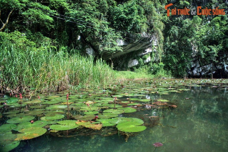 Kham pha ve dep so khai cua Thung Nang Ninh Binh Dam-Hinh-8