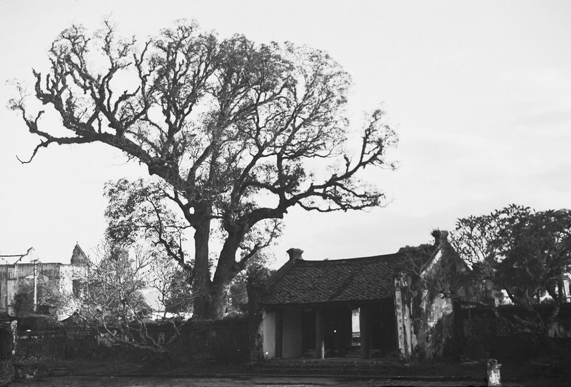 Loat anh quy ve chua Lien Phai o Ha Noi nam 1952