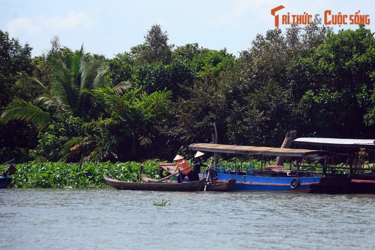 Con Phung (Ben Tre) va dieu cuc la hut du khach-Hinh-2