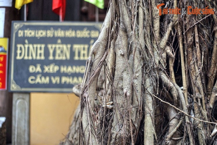 Doc la ngoi dinh tho Nguyen phi Y Lan giua pho co Ha Noi-Hinh-11