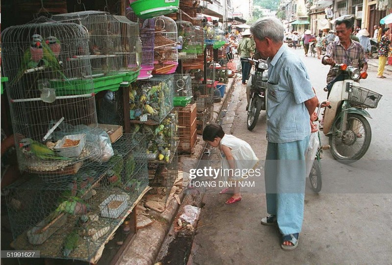 Ky uc Ha Noi nam 1995 qua loat anh cuc song dong-Hinh-3