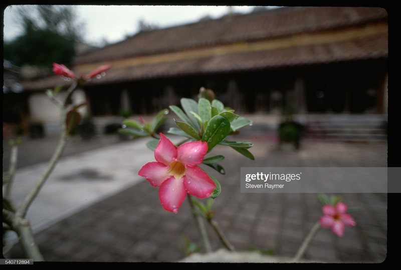 Hinh anh la ve Hue, Da Nang, Hoi An nhung nam 1990-Hinh-4