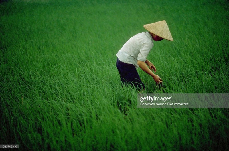 Cuoc song cuc nhon nhip o Ha Noi nam 1991 qua anh-Hinh-11