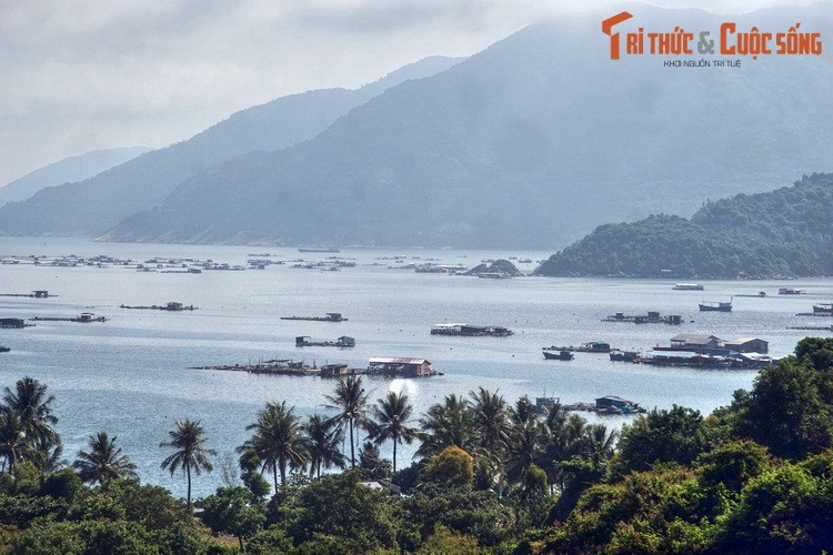 Phu Yen cuc yen binh qua loat anh hap dan-Hinh-4