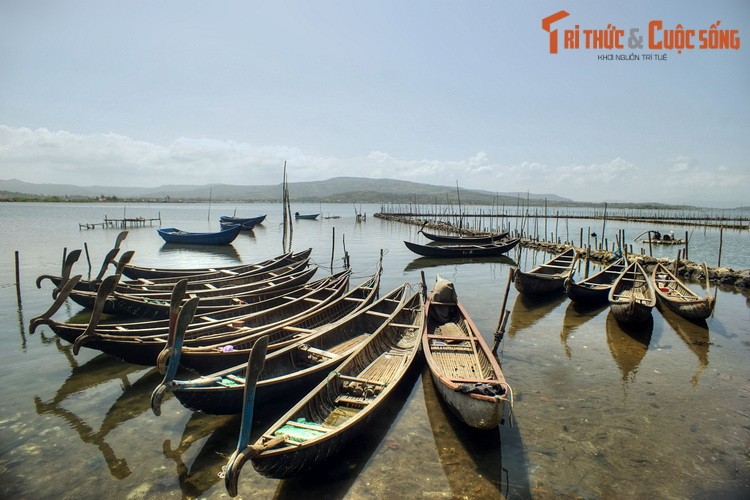 Phu Yen cuc yen binh qua loat anh hap dan-Hinh-6