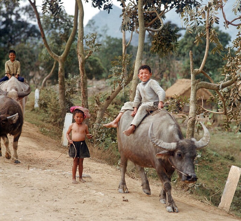 Nhung hinh anh kho quen o mien Bac Viet Nam nam 1973-Hinh-8