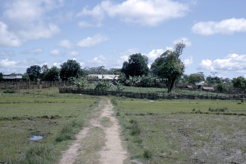 Ngam Da Lat nam 1963 cuc sinh dong qua loat anh hiem-Hinh-11