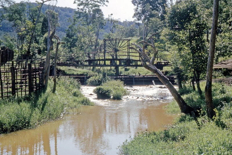 Ngam Da Lat nam 1963 cuc sinh dong qua loat anh hiem-Hinh-6