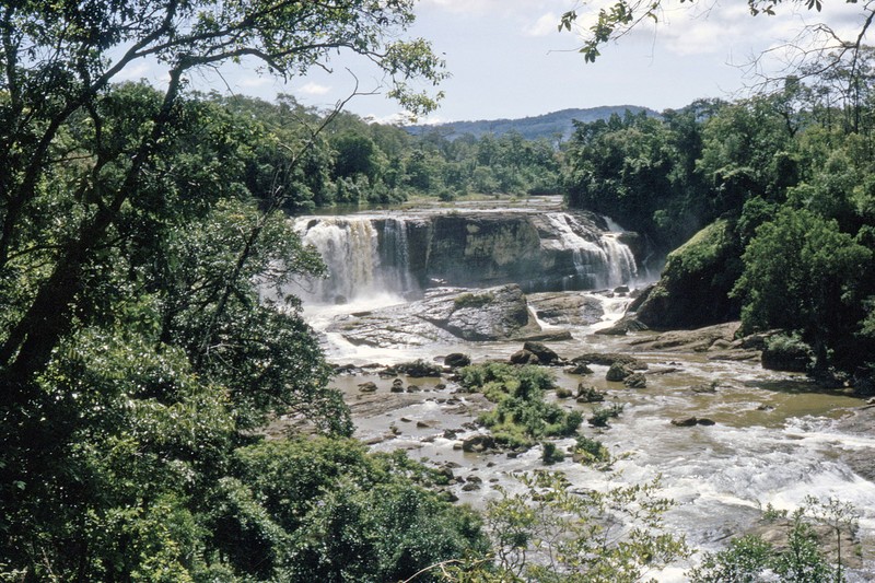 Ngam Da Lat nam 1963 cuc sinh dong qua loat anh hiem-Hinh-8