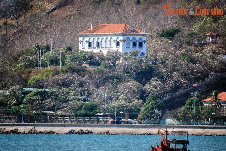 He lo chuyen tinh de vuong it nguoi biet o Bach Dinh Vung Tau