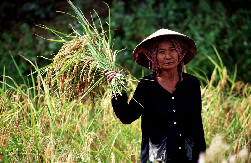 Nhung hinh anh dat gia ve vung dat Siem Reap co xua o Campuchia nam 1992-Hinh-13