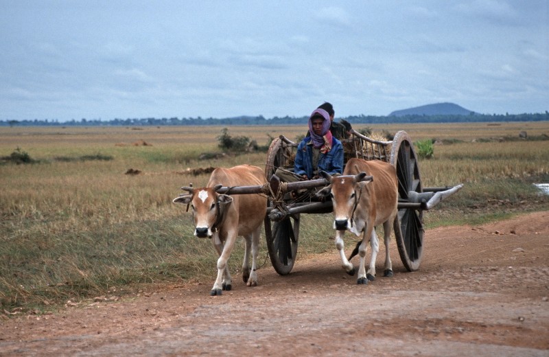 Nhung hinh anh dat gia ve vung dat Siem Reap co xua o Campuchia nam 1992-Hinh-14