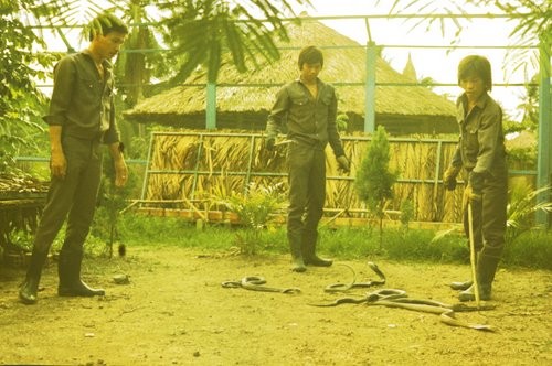 Nguoi Duc va trai nghiem kho quen o Nam Bo nam 1988-1989-Hinh-3