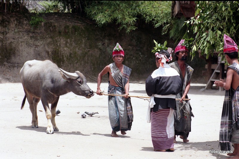 Kham pha cuoc song cua cu dan “Viet co” o dao Sumatra nam 1998-Hinh-7