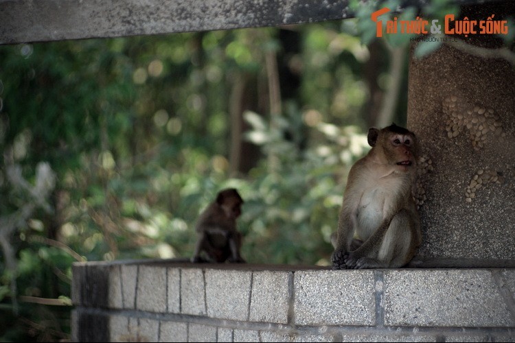 Kham pha nhung bi mat cuc thu vi ve Toa Thanh Tay Ninh-Hinh-6