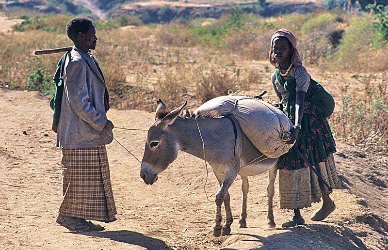 Loat anh vo cung hap dan, tua nhu co tich o Ethiopia nam 1997-Hinh-3