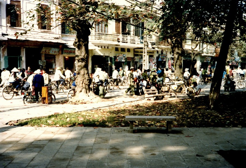 Mat mat voi nhung con duong rop bong cay o Ha Noi nam 1990-Hinh-4