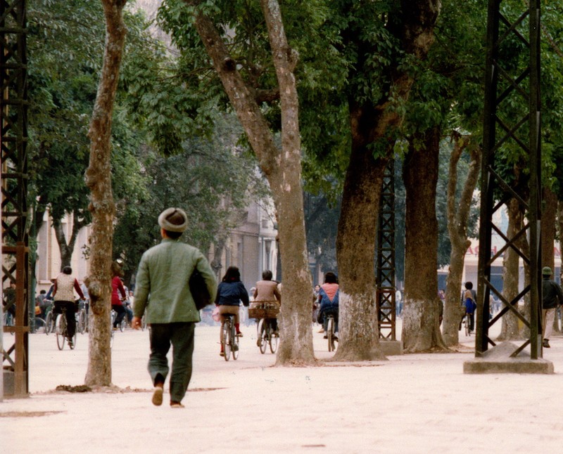 Mat mat voi nhung con duong rop bong cay o Ha Noi nam 1990-Hinh-8