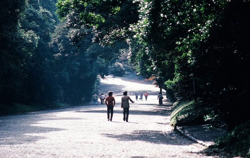 Ngam thanh pho Tokyo cuc song dong nam 1980 qua loat anh quy-Hinh-4