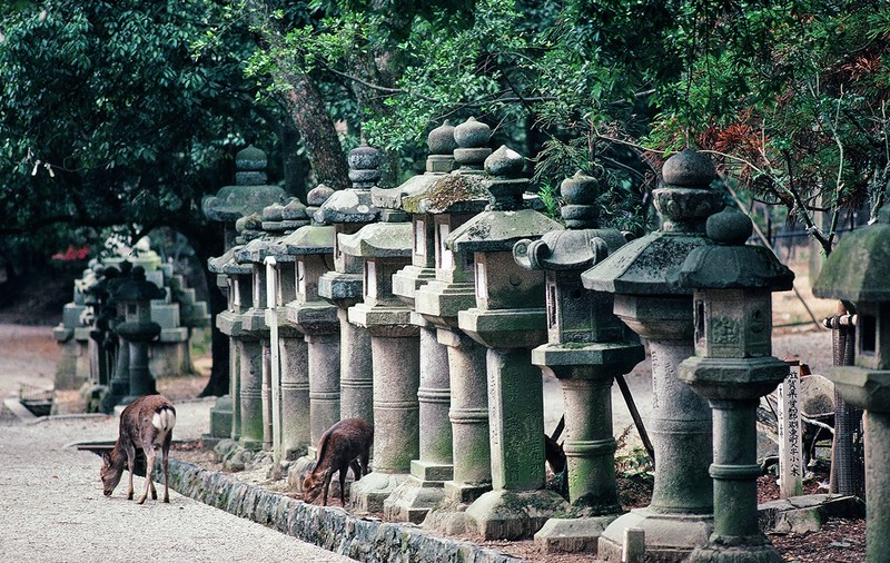 Loat dia diem dac biet vo cung hap dan o Nhat Ban nam 1980-Hinh-8