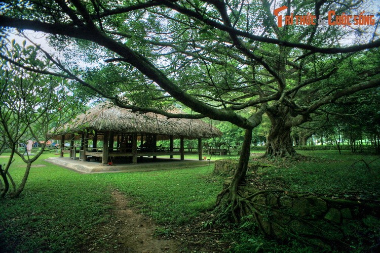 Kham pha noi ra quyet dinh Tong khoi nghia trong Cach mang Thang Tam 1945-Hinh-3