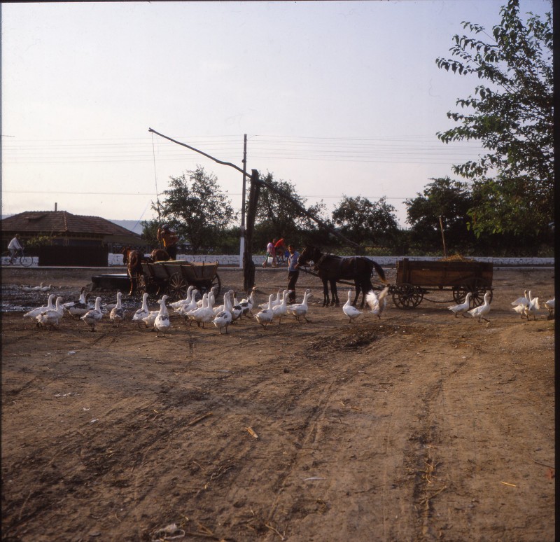 Loat anh hap dan ve dat nuoc Romania nam 1985-Hinh-10