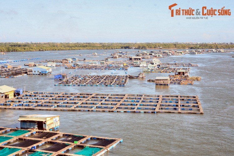 Kham pha nhung dieu thu vi o dao “Rong” canh Vung Tau-Hinh-6