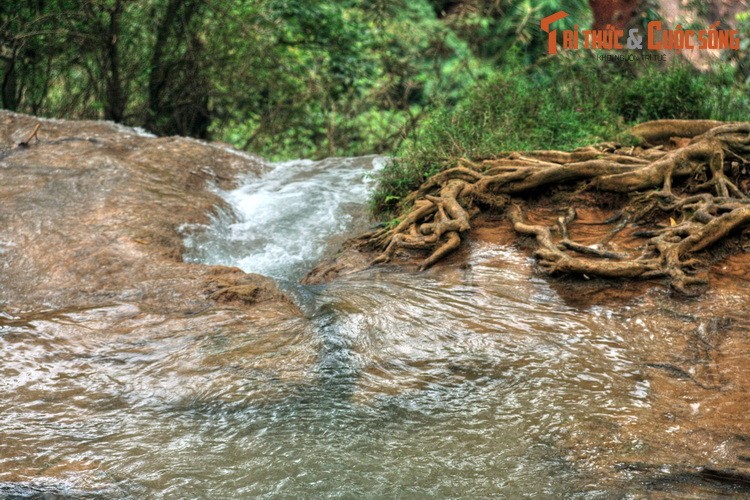 Tan muc dong thac noi tieng Tay Bac vua duoc in hinh len tem Viet Nam-Hinh-7