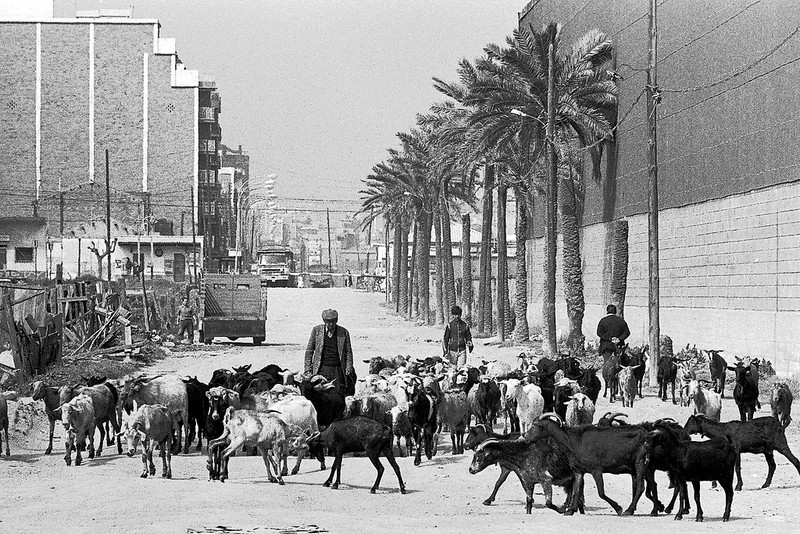 Ngam Barcelona - thanh pho song dong bac nhat Chau Au thap nien 1970-Hinh-12