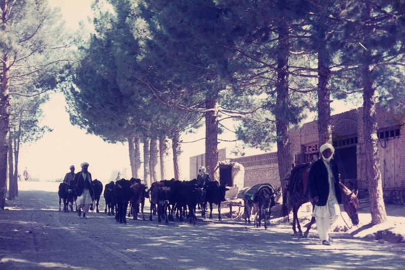 Cuoc song binh yen o Afghanistan nam 1971 qua loat anh quy-Hinh-11