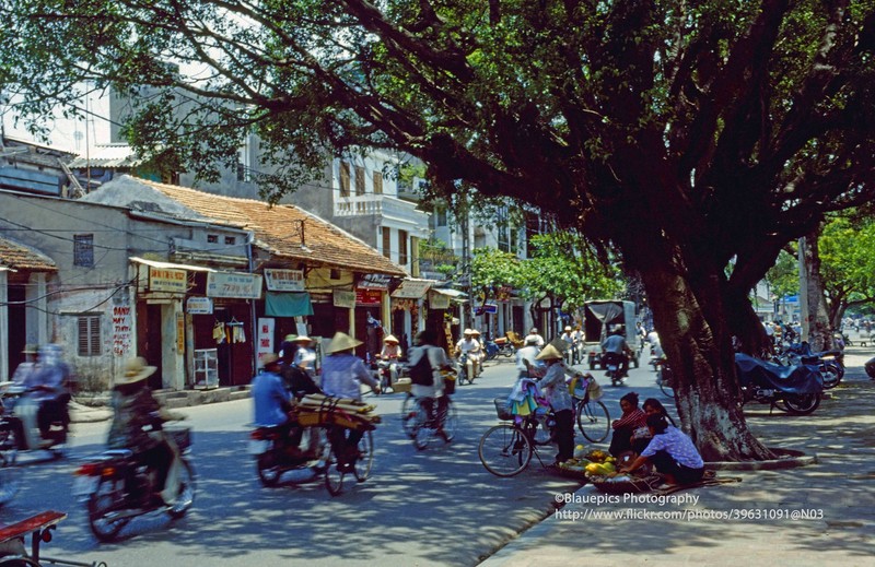 Loat anh sinh dong ve Ha Noi nam 1998 vua duoc cong bo-Hinh-9