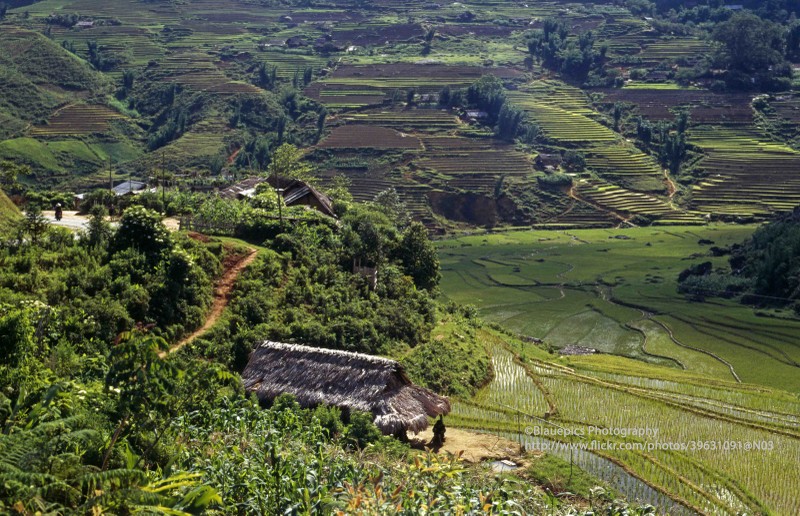 Ve dep thuan khiet cua Sa Pa nam 1998 qua loat anh la-Hinh-11