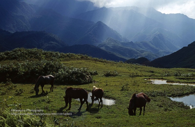 Ve dep thuan khiet cua Sa Pa nam 1998 qua loat anh la-Hinh-13