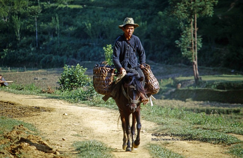 Loat anh khong the roi mat o Lao Cai nam 1998-Hinh-12