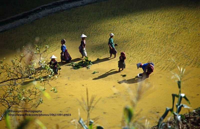 Loat anh khong the roi mat o Lao Cai nam 1998-Hinh-14