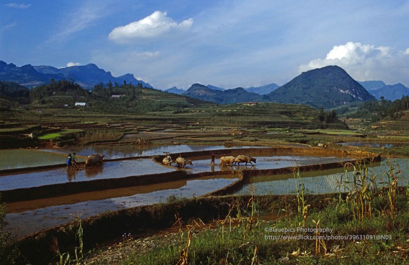 Loat anh khong the roi mat o Lao Cai nam 1998-Hinh-6