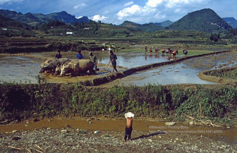 Loat anh khong the roi mat o Lao Cai nam 1998-Hinh-7