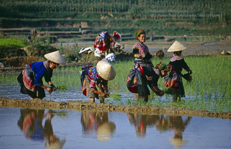 Loat anh khong the roi mat o Lao Cai nam 1998-Hinh-8