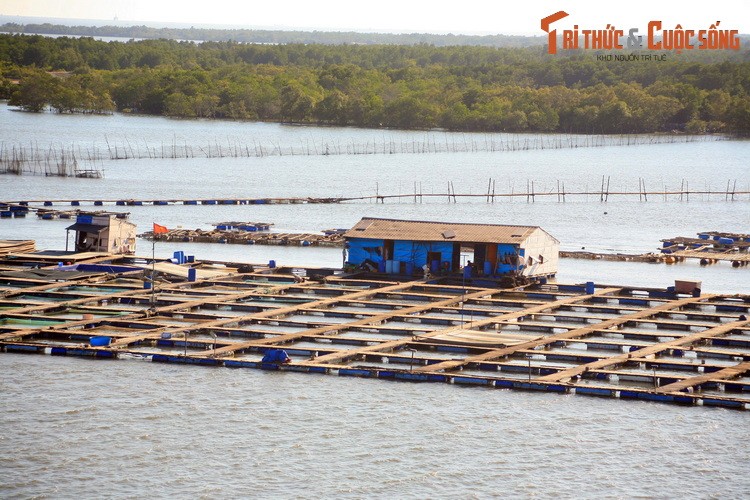 Du ngoan lang be noi tieng nam canh Vung Tau-Hinh-10