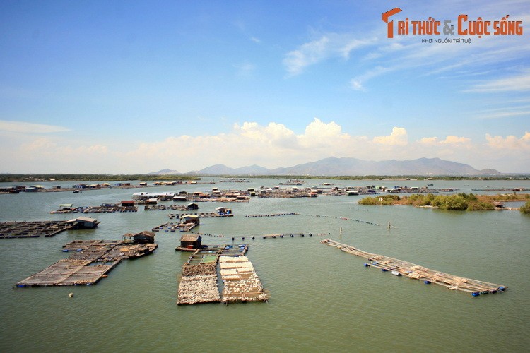 Du ngoan lang be noi tieng nam canh Vung Tau-Hinh-11