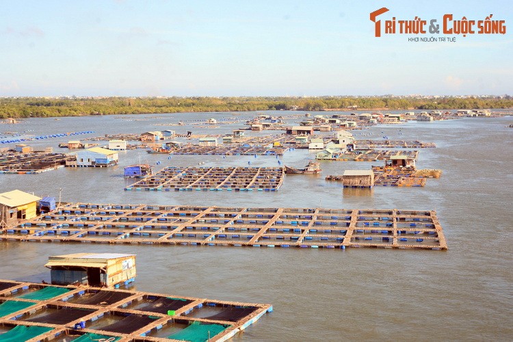 Du ngoan lang be noi tieng nam canh Vung Tau-Hinh-12