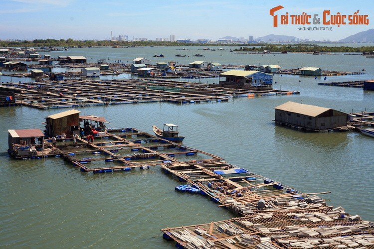 Du ngoan lang be noi tieng nam canh Vung Tau-Hinh-13