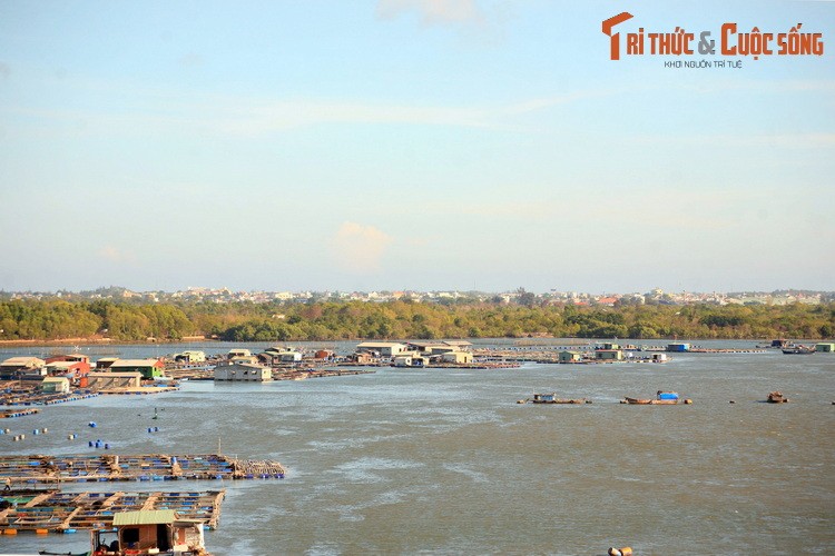 Du ngoan lang be noi tieng nam canh Vung Tau-Hinh-15